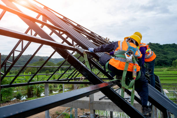Best Roof Repair Services  in Robins, IA