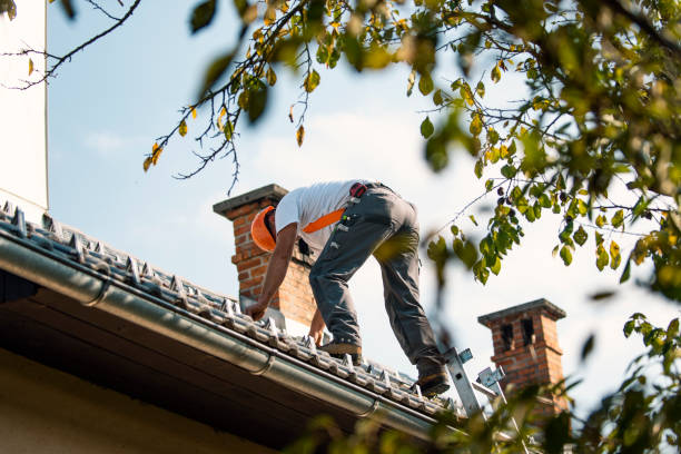 Best Affordable Roofing Company  in Robins, IA