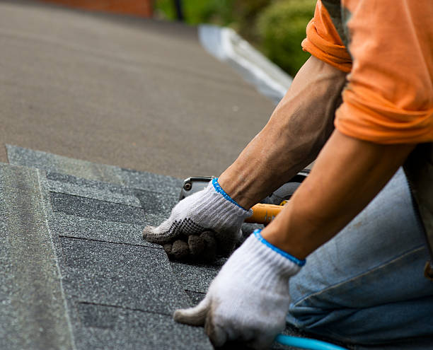 Best Commercial Roofing Services  in Robins, IA
