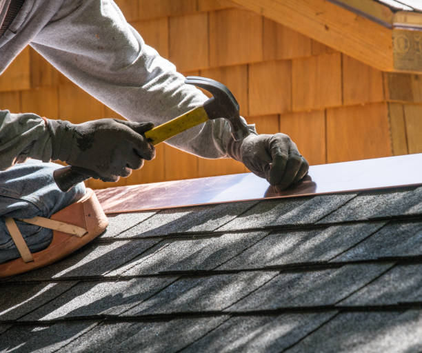 Best Metal Roofing Contractor  in Robins, IA